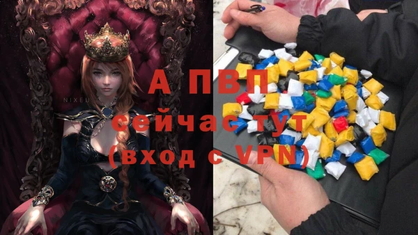 ешки Новозыбков