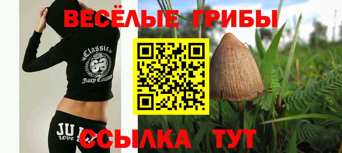 Псилоцибиновые грибы ЛСД Сорочинск