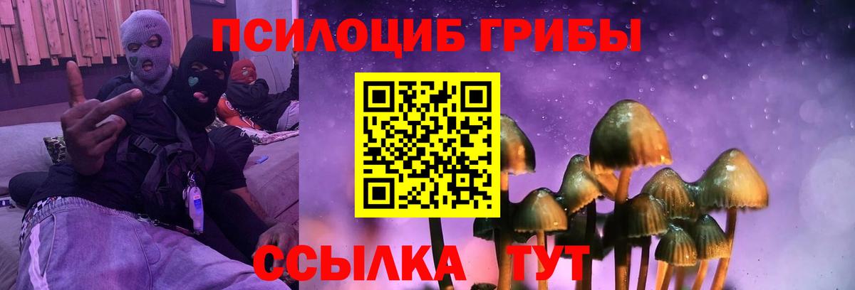 Галлюциногенные грибы ЛСД  Вход с VPN  Сорочинск 