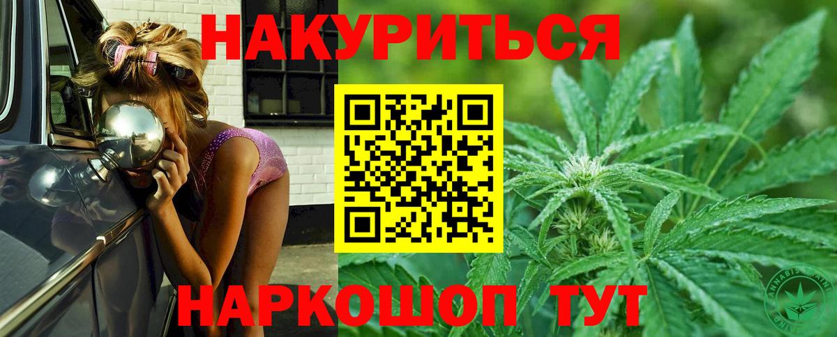 Каннабис планчик Сорочинск